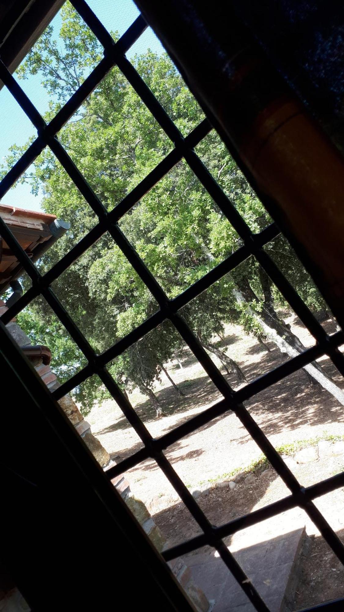 Agriturismo Podere San Lorenzo 1866 マッサ・マリッティマ エクステリア 写真