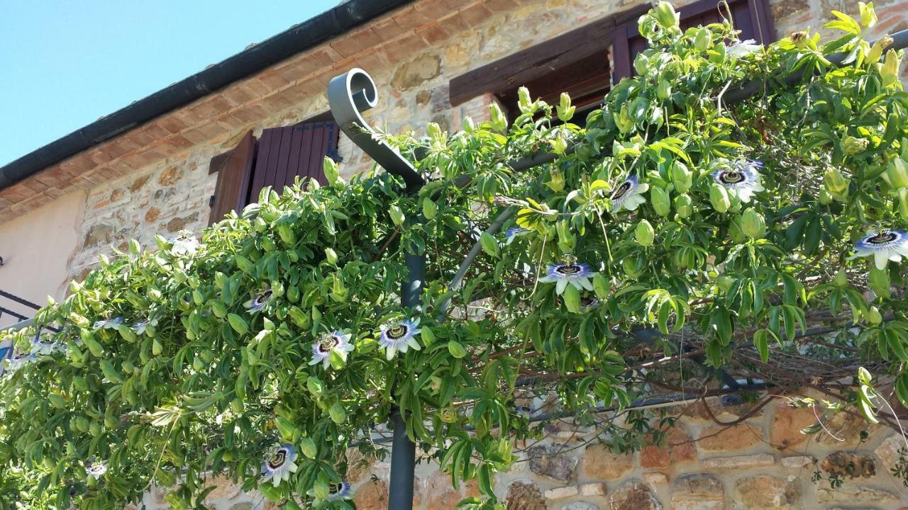 Agriturismo Podere San Lorenzo 1866 マッサ・マリッティマ エクステリア 写真